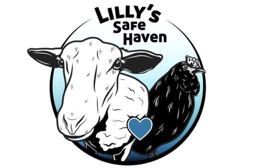 Lilly's Safe Haven